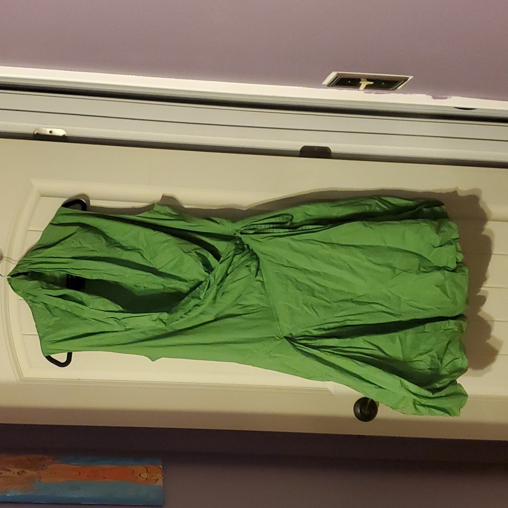 Ashley Stewart Green Dress Size 20